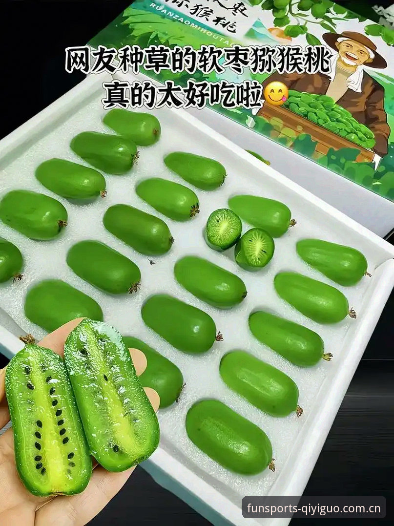 奇异果体育平台新手操作手册：从安卓下载到网页登录的完整指南